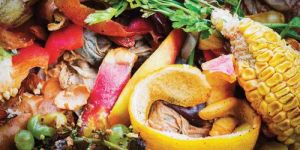 Food Industry Waste Composting Culture