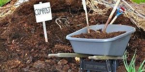 Refinery Waste Composting Culture