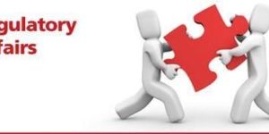 Pharmaceutical Regulatory Services