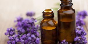 Lavender Oil