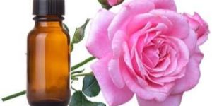 Rose Oil