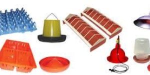 Poultry Equipment