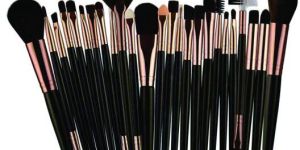Makeup Brush Kit