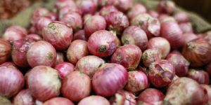 Fresh Pink Onion
