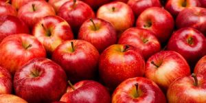 Fresh Red Apple