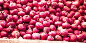 Fresh Red Onion