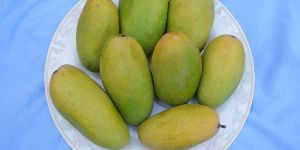 Langra Mango
