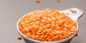Red Lentils