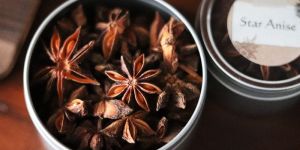 Star Anise Pods