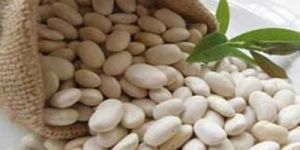 White Kidney Beans
