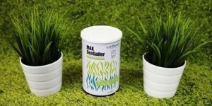 Organic Seaweed Powder