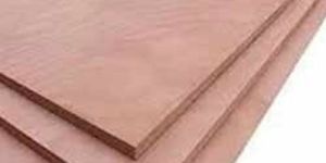 8mm Plywood Board