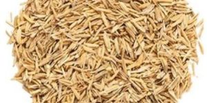 Rice Hulls