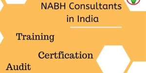 NABH Consultant