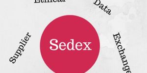 Sedex Certification