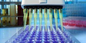 Immunochemistry Services