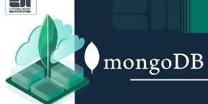 MongoDB Training Courses