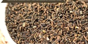 Kalijiri Seed