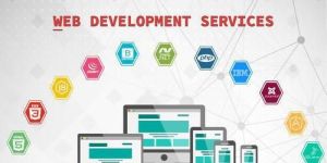 Website Development Services