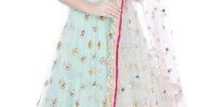 Designer Lehenga Choli