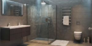 Toilet Designing Services