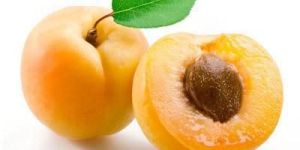 Fresh Apricot