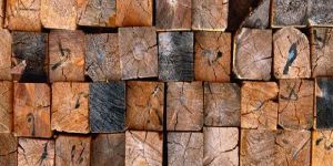 Wood Design Wallpaper