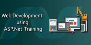 Professional NET Course