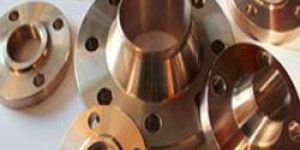 Nickel AND Copper Alloy Flanges