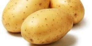 Fresh Potato