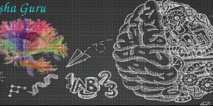 Brain Science Classes