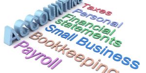 Business Accounting Services