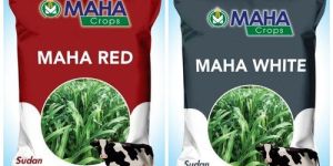 Sorghum Sudan Grass Seeds