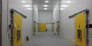 Cold Chain Consultant