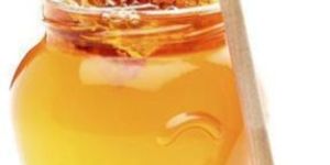 Honey Processing Consultant