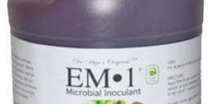 Microorganism Consultant