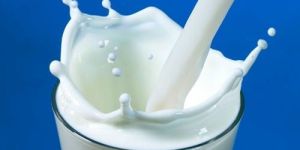 Milk Processing Consultant