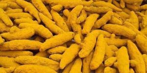 Organic Turmeric Finger