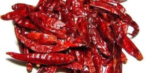 Stemless Dried Red Chili