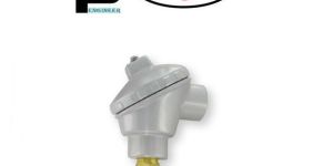 Weatherproof Immersion Temperature Transmitter (Series TTW)