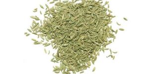 Fennel Seed