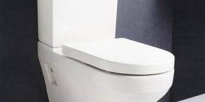 Wall Mounted Toilet Seat