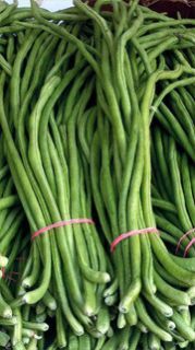 Long Beans