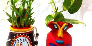 Terracotta Table Top POT with Indoor Plants