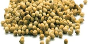 Coriander Seeds