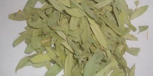 Senna Leaves