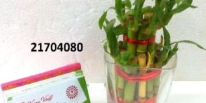 Trendy Corporate Gifts Handmade Terracotta Card Holder