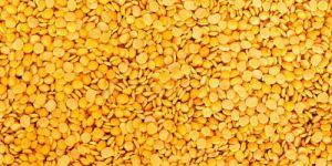 Yellow Lentils
