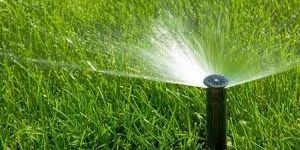 Mini Water Sprinkler