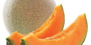 Fresh Sweet Muskmelon
